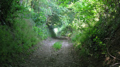 St Pierre es Champs (Chemin 2)