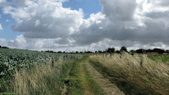 Coudray St Germer (Chemin 2)