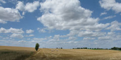 St Germer de Fly (Champs)