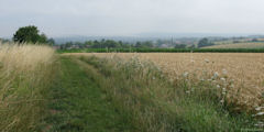 Cuigy en Bray (Chemin 2)