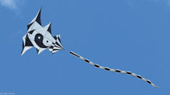 Dieppe (Cerf-Volant 5)