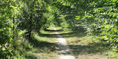 Duclair (Chemin)