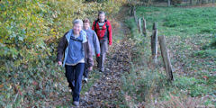 Forêt Verte (Chemin 2)