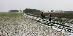 Douvrend (Chemin 1)