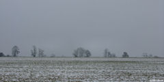 Douvrend (Plaine)