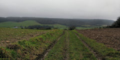 Bellengreville (Chemin 2)