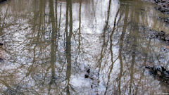 Bellengreville (Reflets 1)