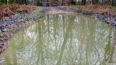 Bellengreville (Reflets 2)