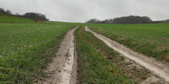 Envermeu (Chemin)