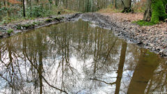 Glicourt (Reflets)