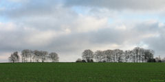Bellengreville (Plaine 1)