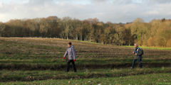 Bellengreville (Plaine 2)