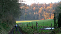 Sauchay (Chemin)