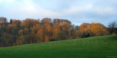 Derchigny (Prairie)