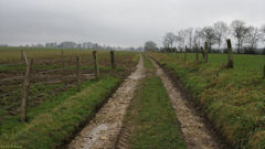Notre Dame d'Aliermont (Chemin 1)
