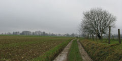Notre Dame d'Aliermont (Chemin 2)