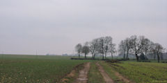 Douvrend (Chemin)