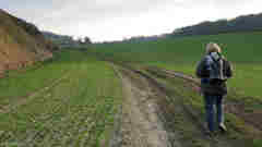 Avesnes en Val (Chemin)