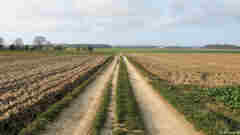 St Martin le Gaillard (Chemin 1)