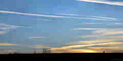 Canehan (Ciel)