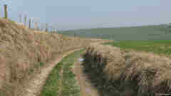 Sept-Meules (Chemin)