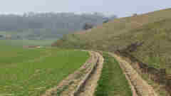 Avesnes en Val (Chemin)