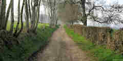 Grandcourt (Chemin 1)