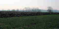 Smermesnil (Plaine 1)