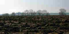 Smermesnil (Plaine 2)