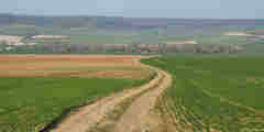 Dancourt (Chemin 1)
