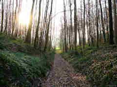 Dancourt (Chemin 2)