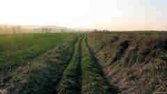 Dancourt (Chemin 3)