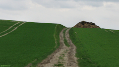 Grandcourt (Chemin 1)
