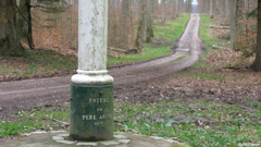 Forêt d'Eu (Poteau)