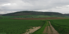 Grandcourt (Chemin 2)