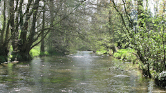 Dancourt (l'Yères)