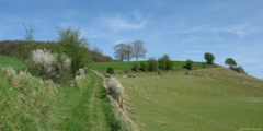 St Riquier en Rivière (Chemin)