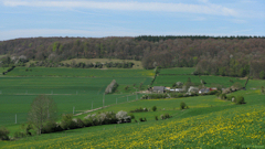 Dancourt (le Goulet)