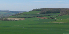 Dancourt (Mont St Rémy)