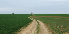 Dancourt (Chemin)