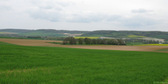 Dancourt (Vallée)