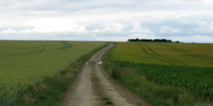 Blicourt (Chemin)