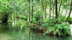 Criel sur Mer (l'Yères)