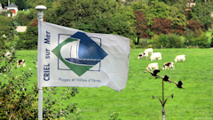 Criel sur Mer (Drapeau)
