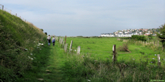 Criel sur Mer (Chemin)