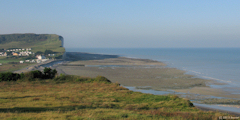 Criel sur Mer (Estran)
