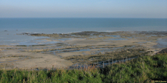 Criel sur Mer (Estran)