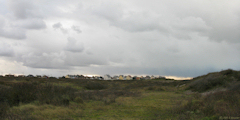 Cayeux sur Mer (Maisons 2)