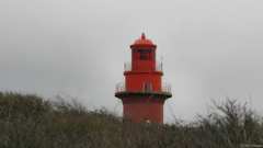 Cayeux sur Mer (Phare 4)