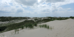 St Quentin en Tourmont (Dunes 2)